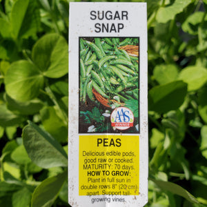 Peas, Pod - Sugar Snap