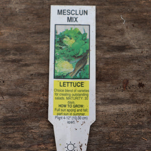 Lettuce - Mesclun Mix