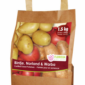 Seed Potato - Combo Sack - Bintje, Norland & Warba