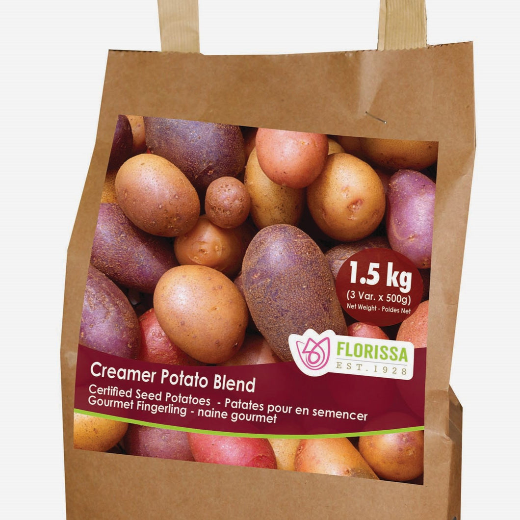 Seed Potato - Combo Sack - Creamer