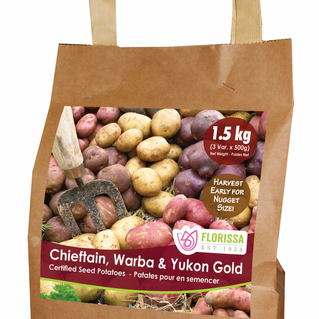 Seed Potato - Nugget Combo Sack - Chieftain, Warba & Yukon Gold