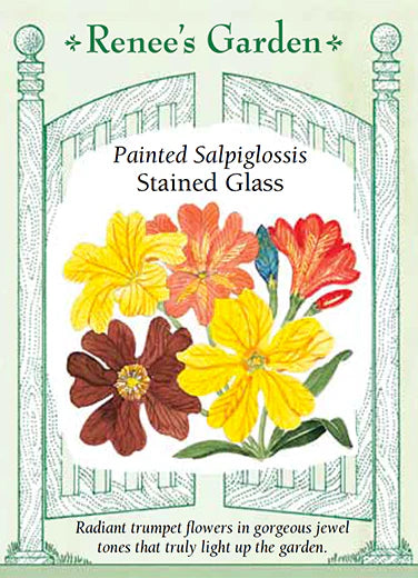 Salpiglossis Stained Glass