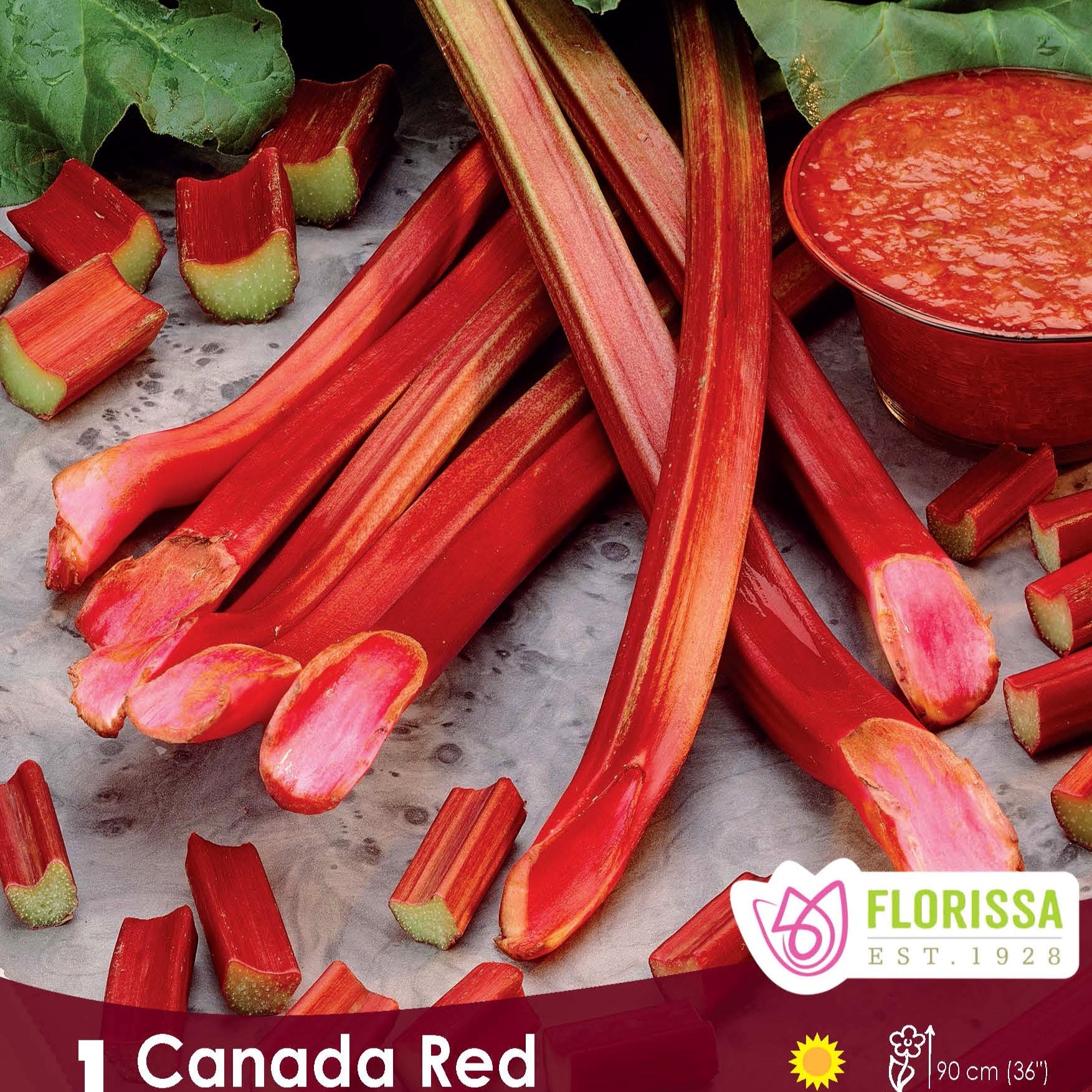 Rhubarb an easy and tasty addition to any garden - The Chilliwack